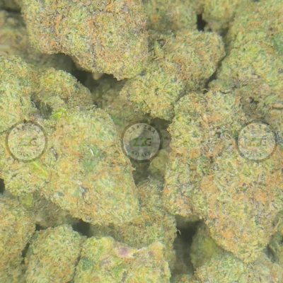 COUGH ZYRUP Cannabis Strain