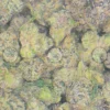 Frozen Cherries Cannabis