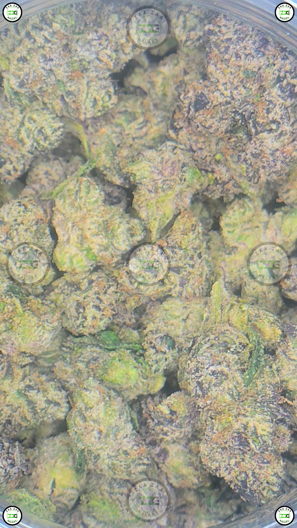 Frozen Cherries Cannabis
