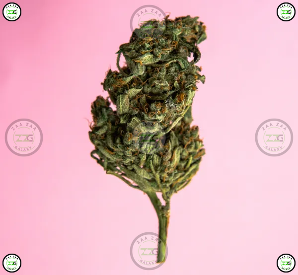 Frozen Cherries Cannabis Strain