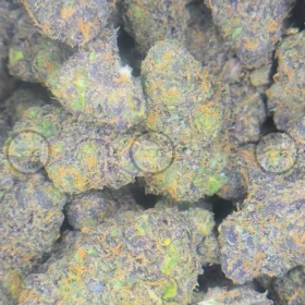 GRAPE MARKER Cannabis Strain