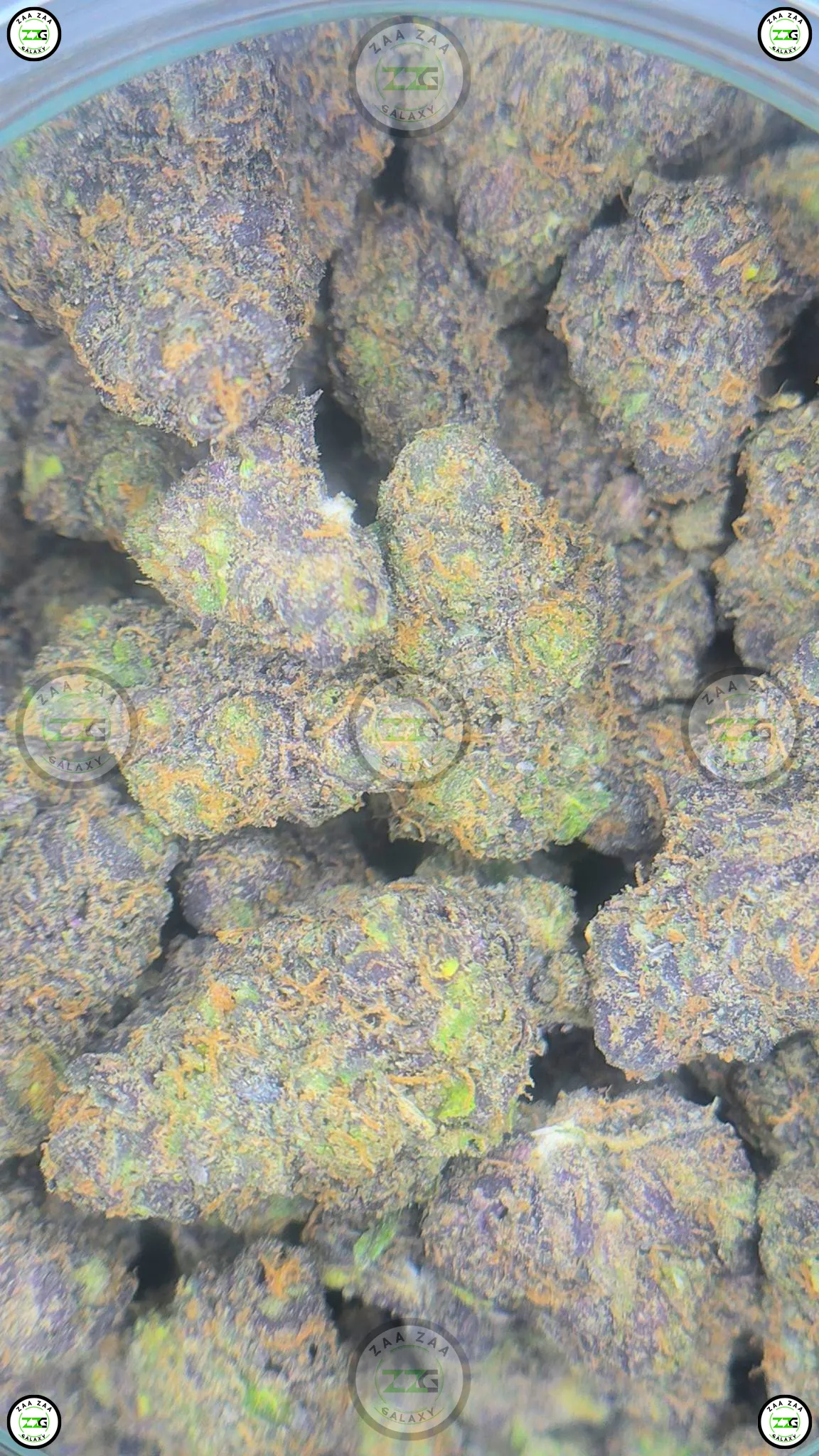 GRAPE MARKER Cannabis Strain
