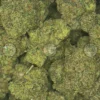 Gumbo weed Strain