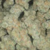 STRAWBERRY MILKSHAKE Cannabis Strain