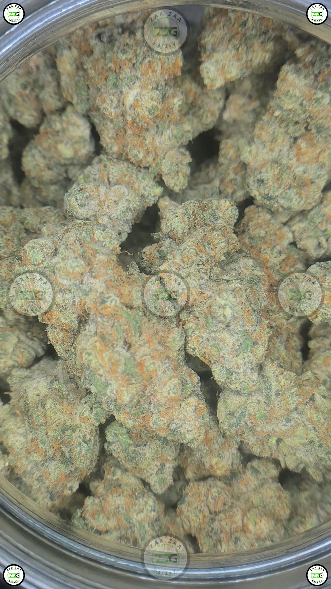 STRAWBERRY MILKSHAKE Cannabis Strain