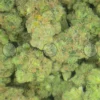 Super Sour Diesel weed