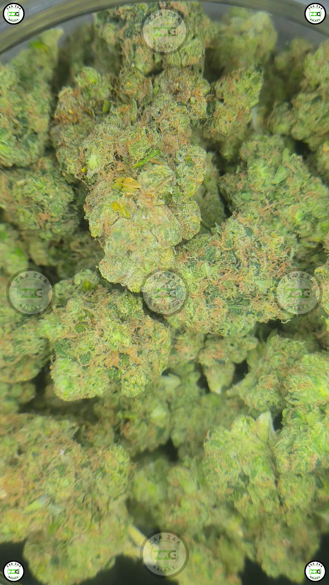 Super Sour Diesel weed