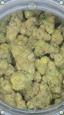 Willy Wonka Cannabis stain