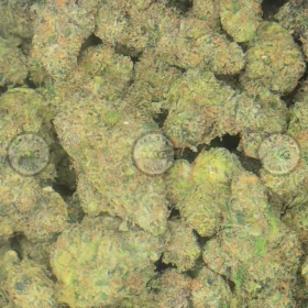 Willy Wonka Cannabis