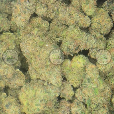 Willy Wonka Cannabis