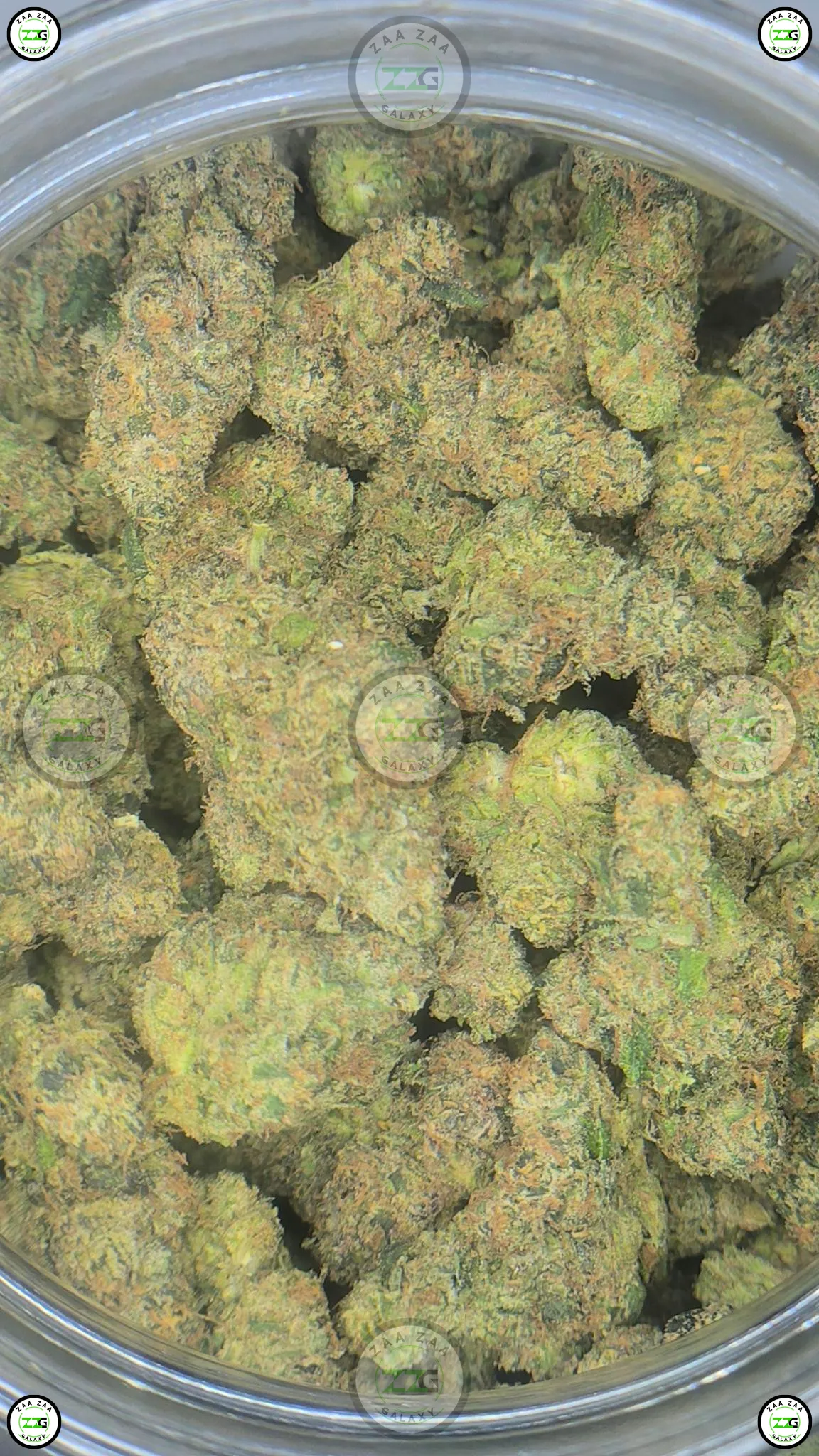 Willy Wonka Cannabis