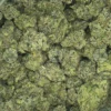 BUBBLEGUM CHERRIES cannabis