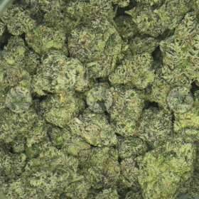 BUBBLEGUM CHERRIES cannabis