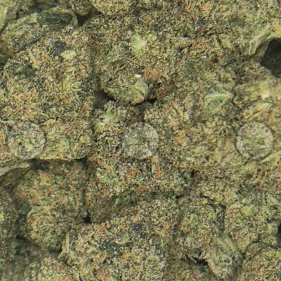 JET FUEL GELATO Cannabis cannabis
