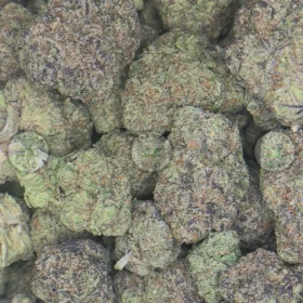 Pineapple Mimosa Cannabis