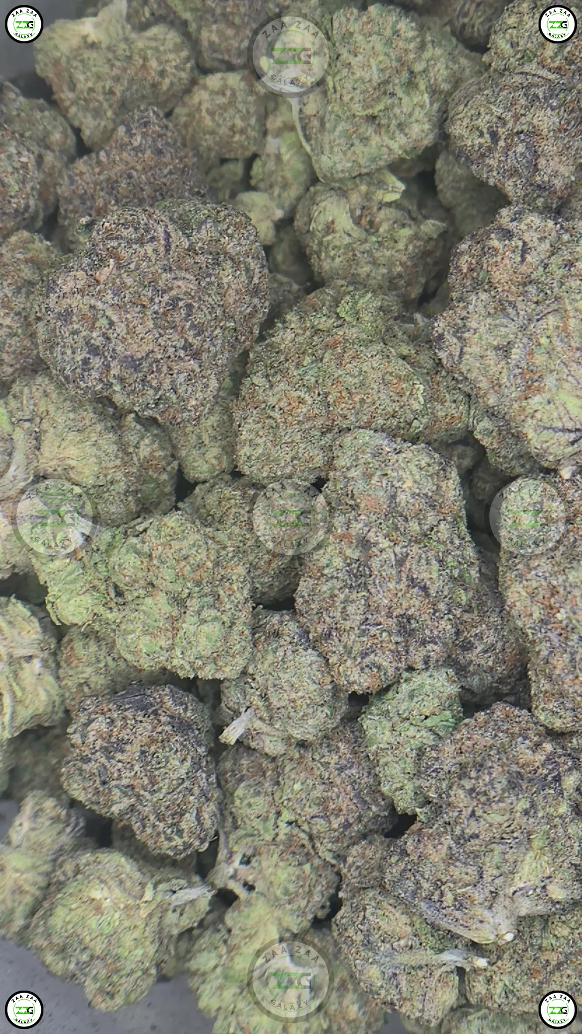 Pineapple Mimosa Cannabis