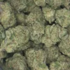 Tangie Gas Cannabis