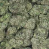 Yellow Zushi Cannabis