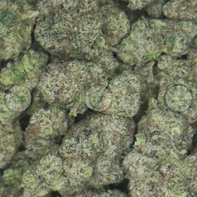 Yellow Zushi Cannabis