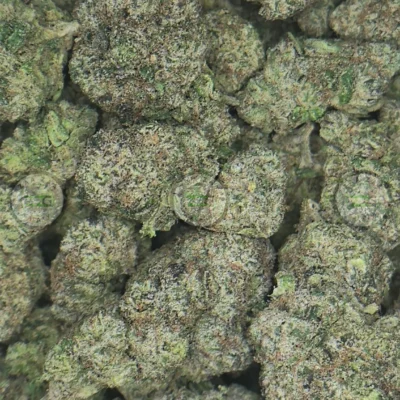 Yellow Zushi Cannabis