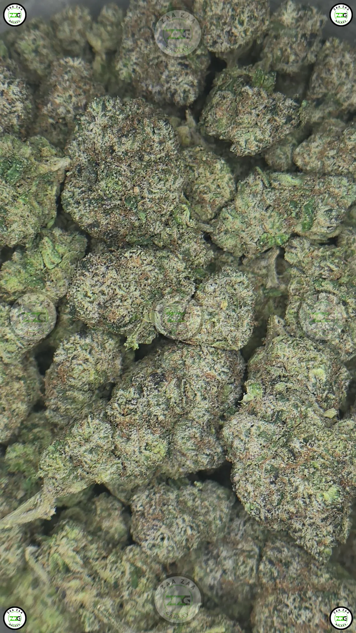 Yellow Zushi Cannabis