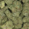 Biscotti weed Strain
