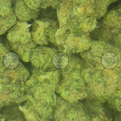 Coolio Cannabis Strain